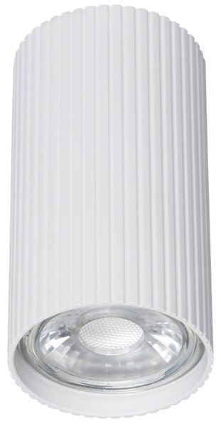 TK Lighting Stropní přisazené svítidlo 10023 TUNE