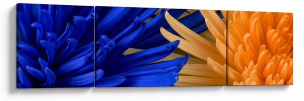 Detailní obraz květů (170x50 cm)