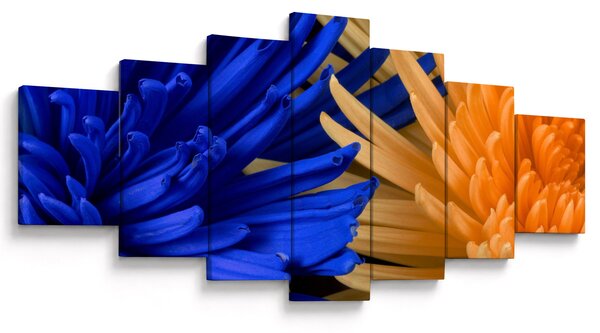 Detailní obraz květů (210x100 cm)