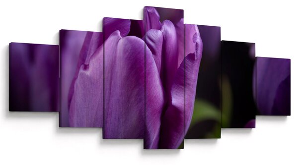 Obraz květů tulipánů (210x100 cm)