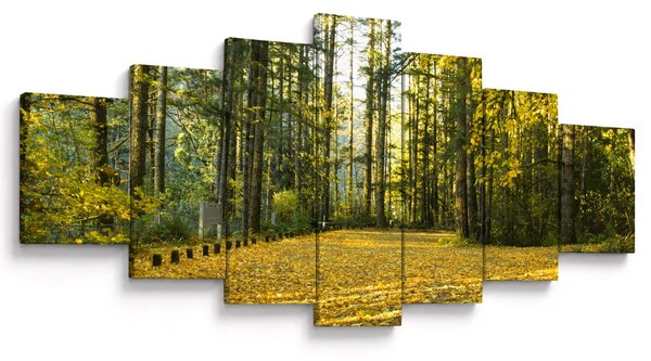 Obraz - les na podzim (210x100 cm)