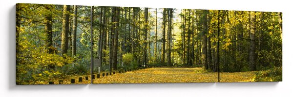 Obraz - les na podzim (170x50 cm)
