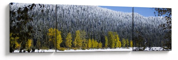 Obraz - zasněžené hory v zimě (170x50 cm)