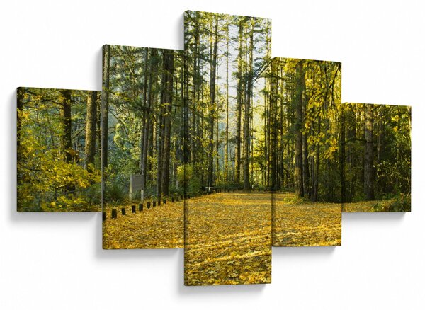 Obraz - les na podzim (125x70 cm)