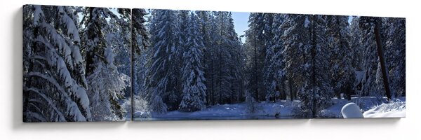 Obraz zasněženého lesa (170x50 cm)