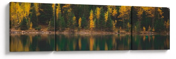 Obraz lesního jezera (170x50 cm)