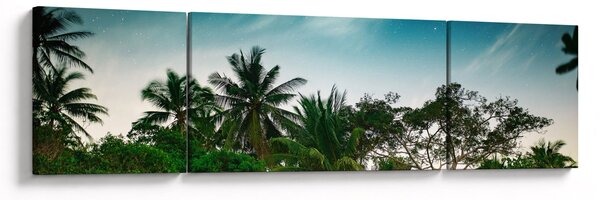 Obraz - palmy (170x50 cm)