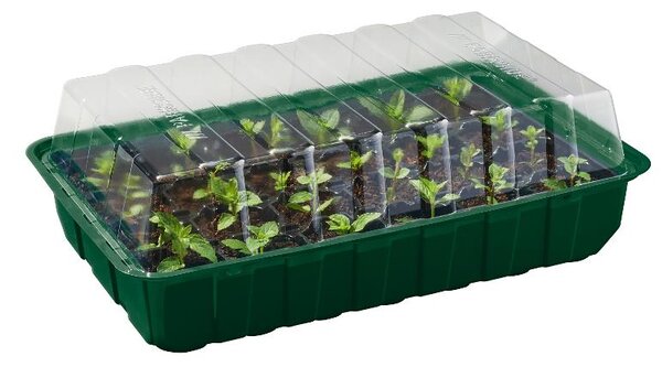 Parkside® Sada pařenišť, 4dílná (100398339)