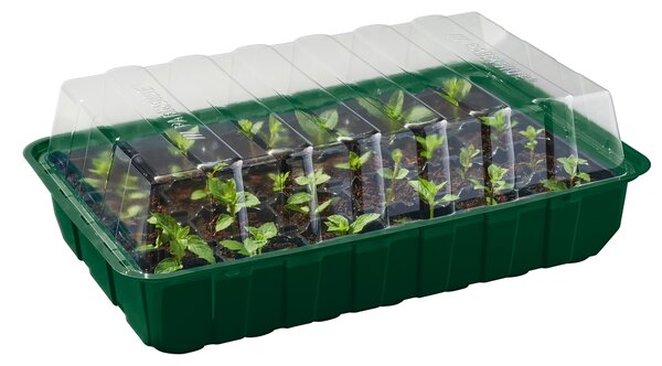 Parkside® Sada pařenišť, 4dílná (100398339)