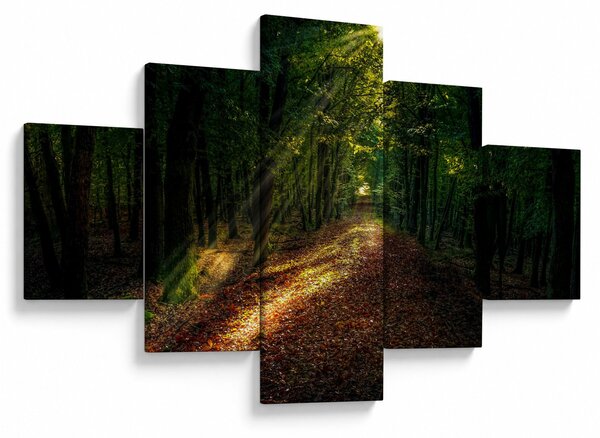 Obraz lesní cesty (125x70 cm)