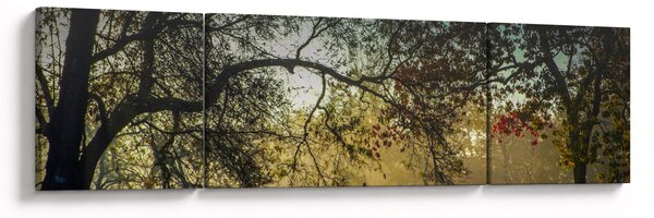 Obraz východu slunce (170x50 cm)