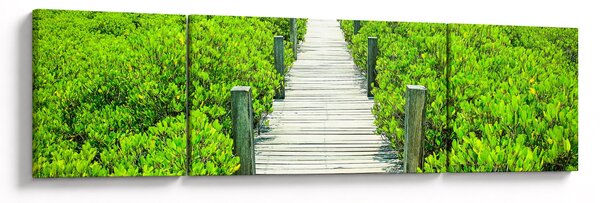Obraz - dřevěný chodník (170x50 cm)