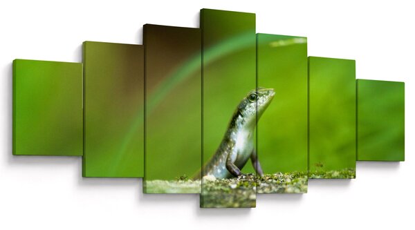 Obraz ještěrky (210x100 cm)