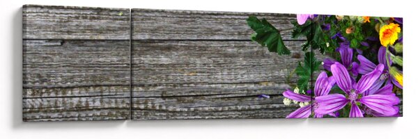 Obraz - luční květiny (170x50 cm)