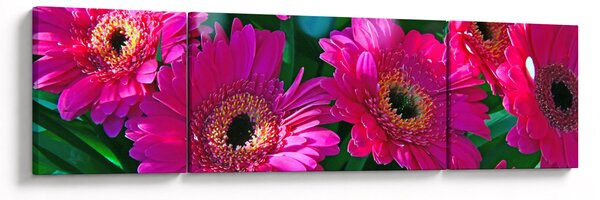 Obraz - květiny (170x50 cm)