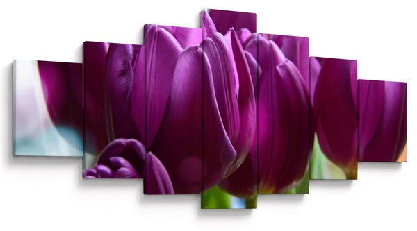 Obraz tulipánů (210x100 cm)