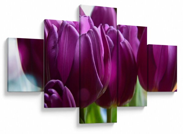 Obraz tulipánů (125x70 cm)
