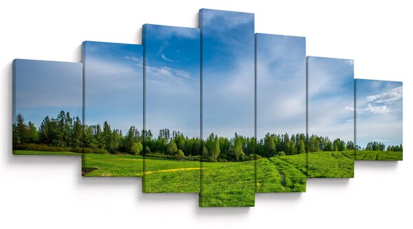 Obraz louky (210x100 cm)
