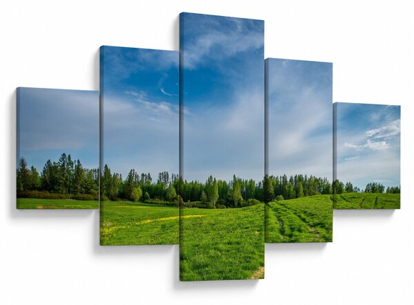Obraz louky (125x70 cm)