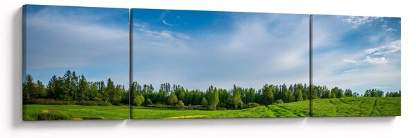 Obraz louky (170x50 cm)