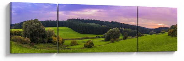 Obraz louky (170x50 cm)