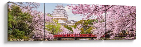 Obraz japonské třešně (170x50 cm)