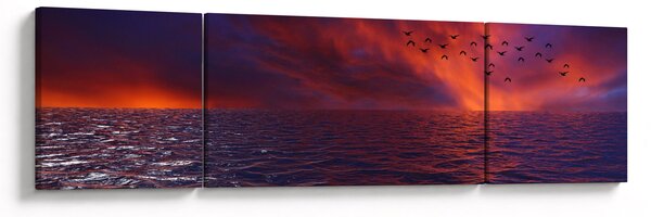 Obraz moře s ptáky (170x50 cm)