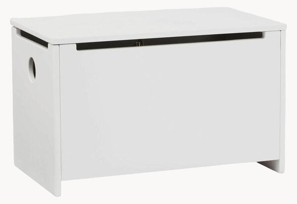 Dětský úložný box Star