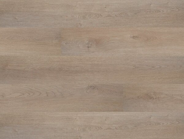 FLOOR FOREVER Bellissimo click rigid Dub lenzo 6012 - 2.21 balení