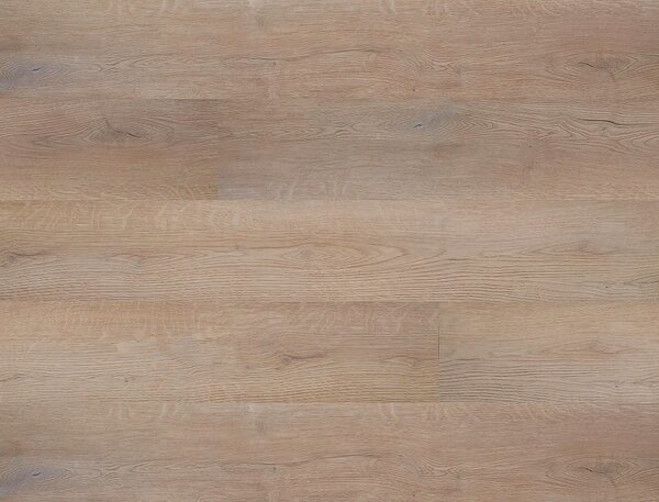 FLOOR FOREVER Bellissimo click rigid Dub tario 6013 - 2.21 balení