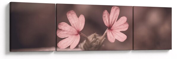 Obraz růžového květu (170x50 cm)