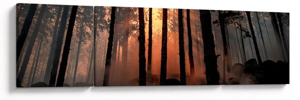 Obraz temného lesa (170x50 cm)