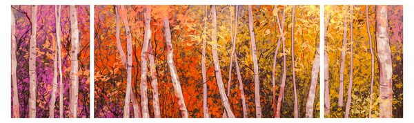 Obraz barevného lesa (170x50 cm)