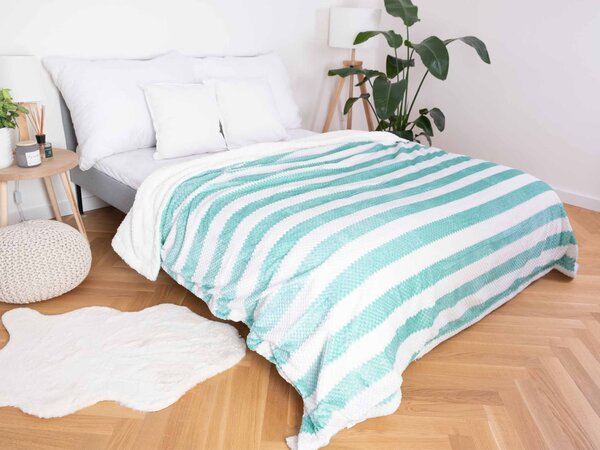MK Lůžkoviny Luxusní beránková deka mikroplyš 200 × 220 cm – Diana mentolová
