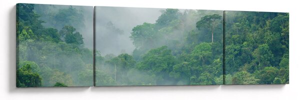 Obraz - Ranní mlha (170x50 cm)