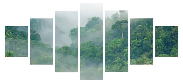 Obraz - Ranní mlha (210x100 cm)