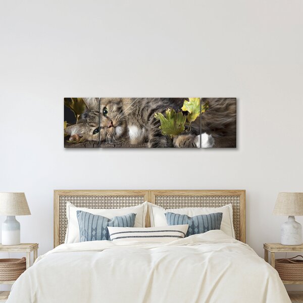 Obraz - Ležící kočka (170x50 cm)