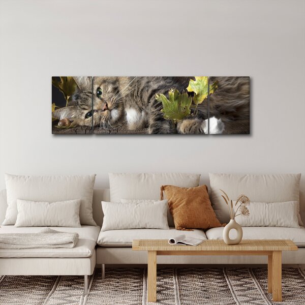 Obraz - Ležící kočka (170x50 cm)