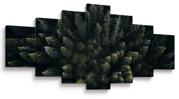 Obraz - Les (210x100 cm)
