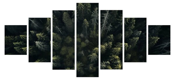 Obraz - Les (210x100 cm)