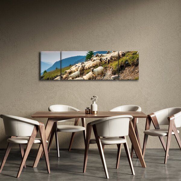 Obraz - Stádo ovcí (170x50 cm)