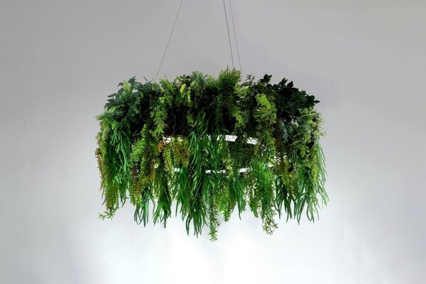 Závěsné LED svítidlo Moosee Gardens, pr. 90-120cm Velikost: 70, Barva: Zelená
