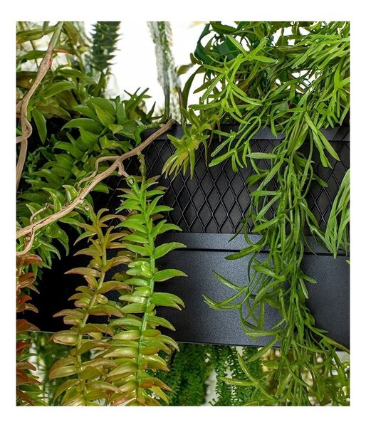 Závěsné LED svítidlo Moosee Gardens, pr. 90-120cm Velikost: 70, Barva: Zelená