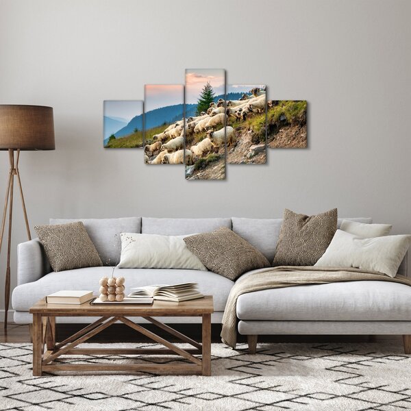 Obraz - Stádo ovcí (125x70 cm)