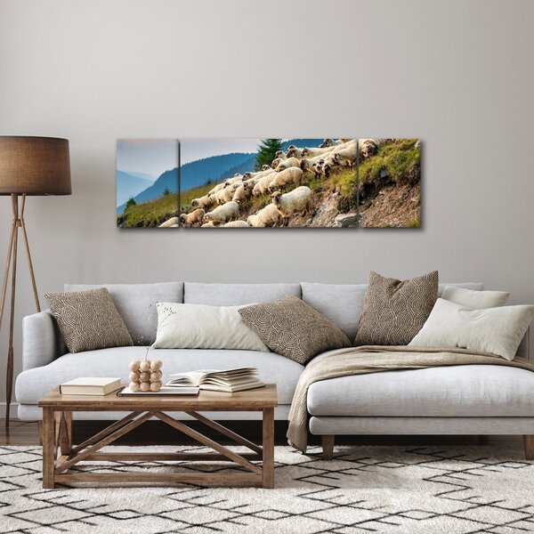 Obraz - Stádo ovcí (170x50 cm)