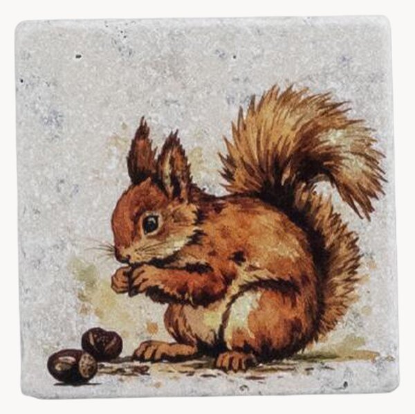 Sada podtácků Squirrel, 4 díly