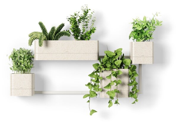 Závěsné plastové květináče na bylinky v sadě 4 ks Cubiko – Umbra