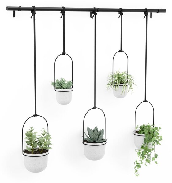 Plastové obaly na květináče v sadě 5 ks na bylinky/závěsné ø 7,5 cm Triflora – Umbra