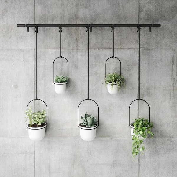 Plastové obaly na květináče v sadě 5 ks na bylinky/závěsné ø 7,5 cm Triflora – Umbra