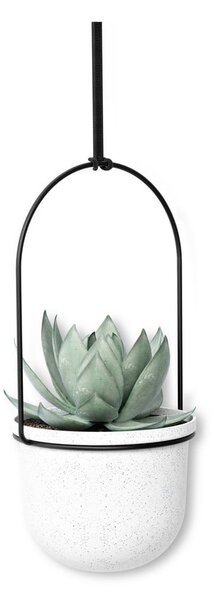 Plastové obaly na květináče v sadě 5 ks na bylinky/závěsné ø 7,5 cm Triflora – Umbra